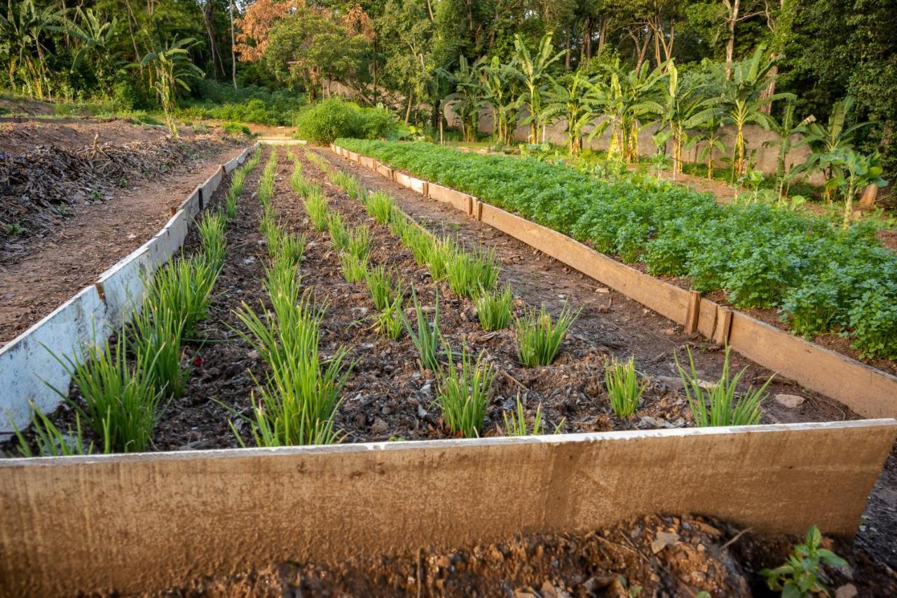 Pousada Dos Pireneus Pirenopolis Ngoại thất bức ảnh