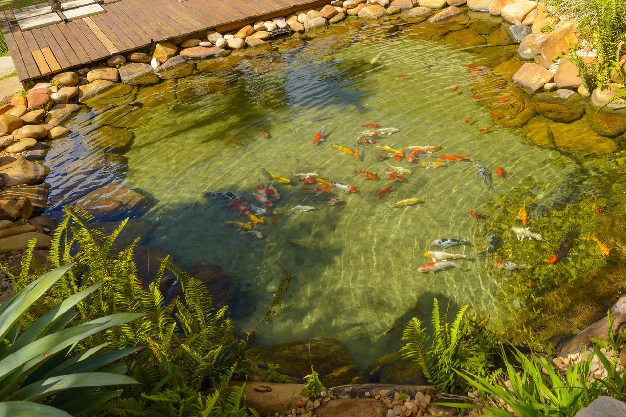 Pousada Dos Pireneus Pirenopolis Ngoại thất bức ảnh
